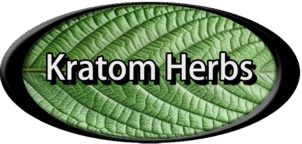 kratom herbs